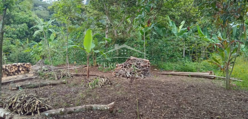 Acayotla / 1550 m2 / Terreno en Venta (2301-854)