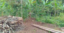 Acayotla / 1550 m2 / Terreno en Venta (2301-854)