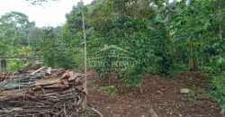 Acayotla / 1550 m2 / Terreno en Venta (2301-854)