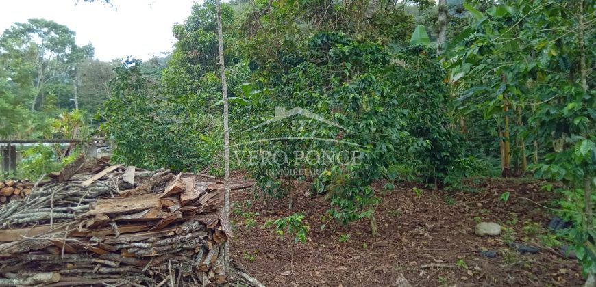 Acayotla / 1550 m2 / Terreno en Venta (2301-854)