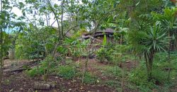 Acayotla / 1550 m2 / Terreno en Venta (2301-854)