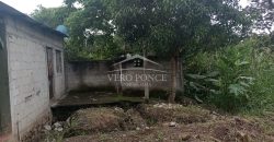 Los Mangos / Casa en Venta (2301-857)