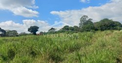 San Isidro / 2 ha / Terreno en Venta (2301-858)