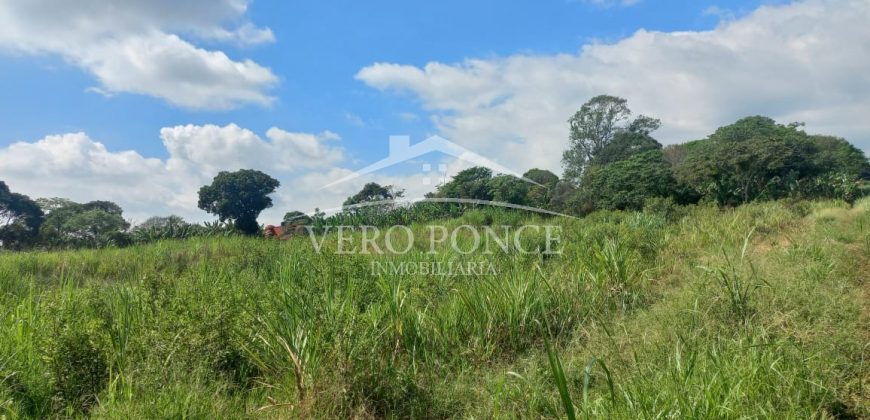 San Isidro / 2 ha / Terreno en Venta (2301-858)