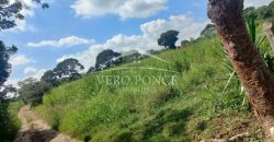 San Isidro / 2 ha / Terreno en Venta (2301-858)