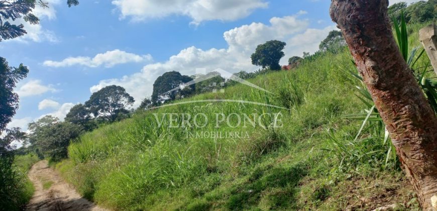 San Isidro / 2 ha / Terreno en Venta (2301-858)