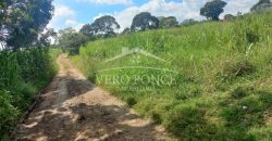 San Isidro / 2 ha / Terreno en Venta (2301-858)