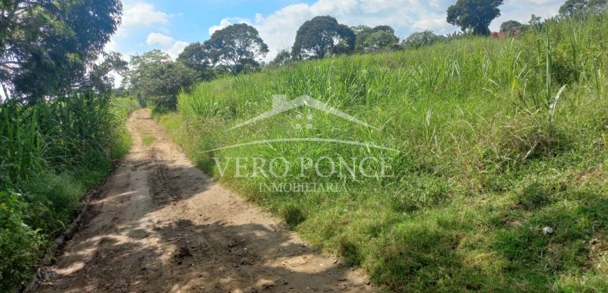 San Isidro / 2 ha / Terreno en Venta (2301-858)