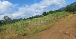 San Isidro / 2 ha / Terreno en Venta (2301-858)