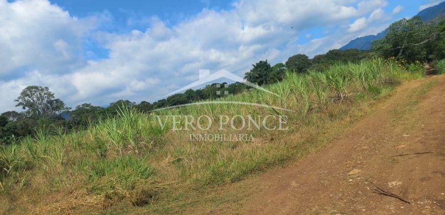 San Isidro / 2 ha / Terreno en Venta (2301-858)