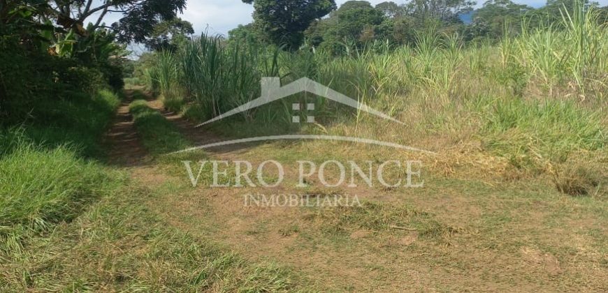 San Isidro / 2 ha / Terreno en Venta (2301-858)