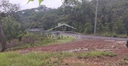 Tlaltetela Huatusco / 20 ha / Terreno en Venta (2303-865)