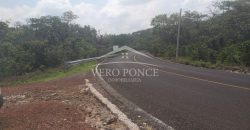 Tlaltetela Huatusco / 20 ha / Terreno en Venta (2303-865)