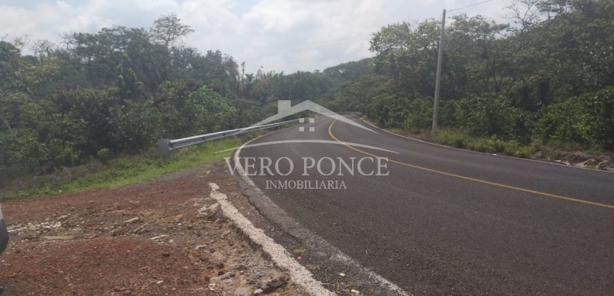 Tlaltetela Huatusco / 20 ha / Terreno en Venta (2303-865)