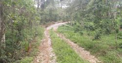 Tlaltetela Huatusco / 20 ha / Terreno en Venta (2303-865)