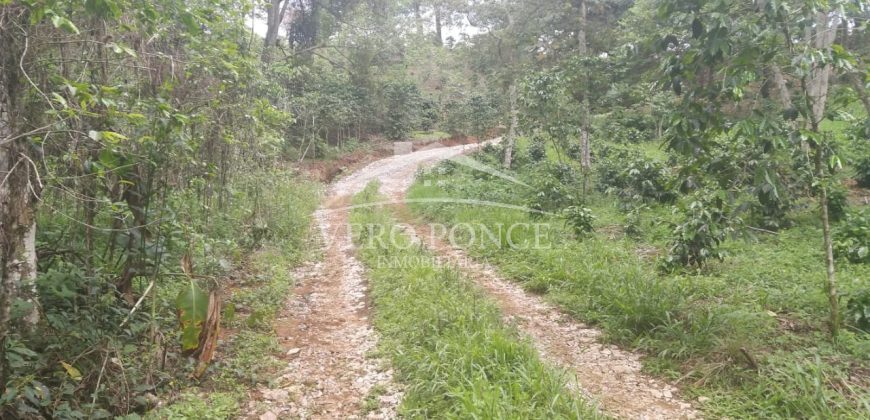 Tlaltetela Huatusco / 20 ha / Terreno en Venta (2303-865)