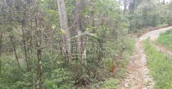 Tlaltetela Huatusco / 20 ha / Terreno en Venta (2303-865)