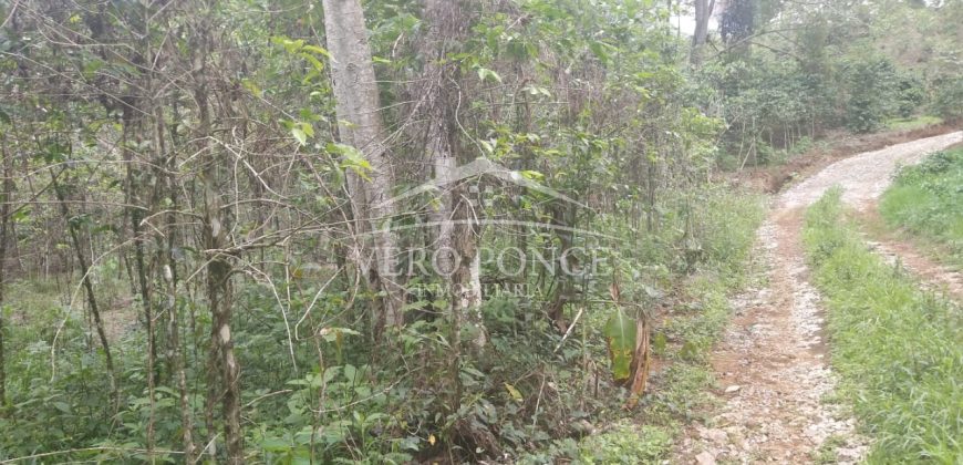 Tlaltetela Huatusco / 20 ha / Terreno en Venta (2303-865)