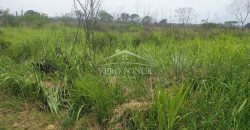 Carretera Fortín – Villa Unión / 20017 m2 / Terreno en Venta (2322-875)