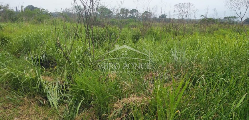 Carretera Fortín – Villa Unión / 20017 m2 / Terreno en Venta (2322-875)