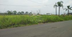 Carretera Fortín – Villa Unión / 20017 m2 / Terreno en Venta (2322-875)