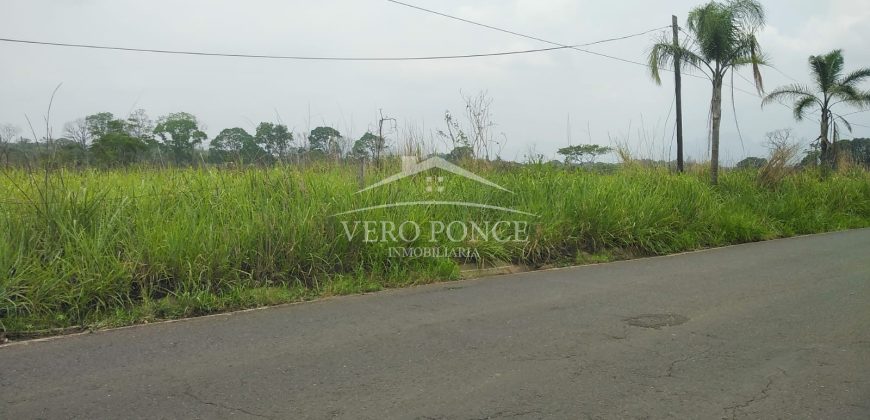 Carretera Fortín – Villa Unión / 20017 m2 / Terreno en Venta (2322-875)