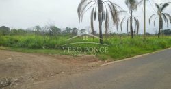 Carretera Fortín – Villa Unión / 20017 m2 / Terreno en Venta (2322-875)