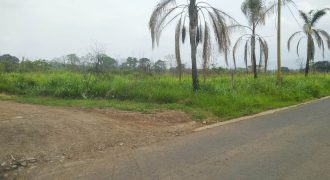 Carretera Fortín – Villa Unión / 20017 m2 / Terreno en Venta (2322-875) Carretera Fortín – Villa Unión / 20017 m2 / Terreno en Venta (2322-875)