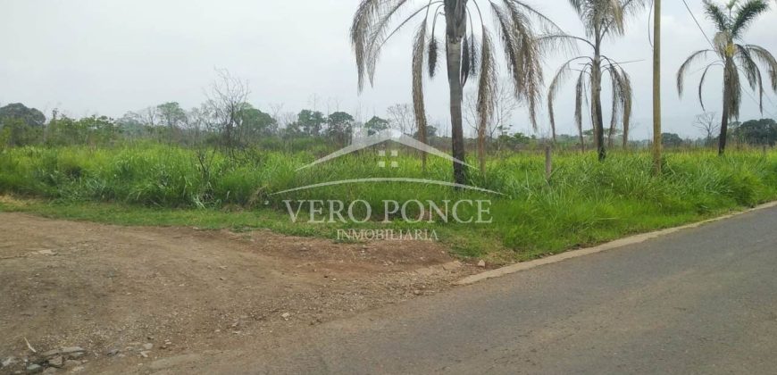 Carretera Fortín – Villa Unión / 20017 m2 / Terreno en Venta (2322-875)