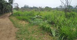 Carretera Fortín – Villa Unión / 20017 m2 / Terreno en Venta (2322-875)