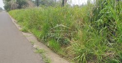 Carretera Fortín – Villa Unión / 20017 m2 / Terreno en Venta (2322-875)