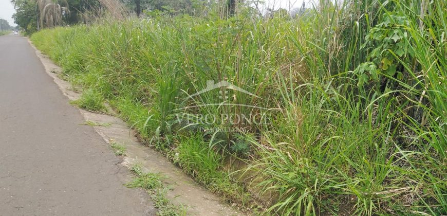 Carretera Fortín – Villa Unión / 20017 m2 / Terreno en Venta (2322-875)