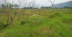 Carretera Fortín – Villa Unión / 20017 m2 / Terreno en Venta (2322-875)