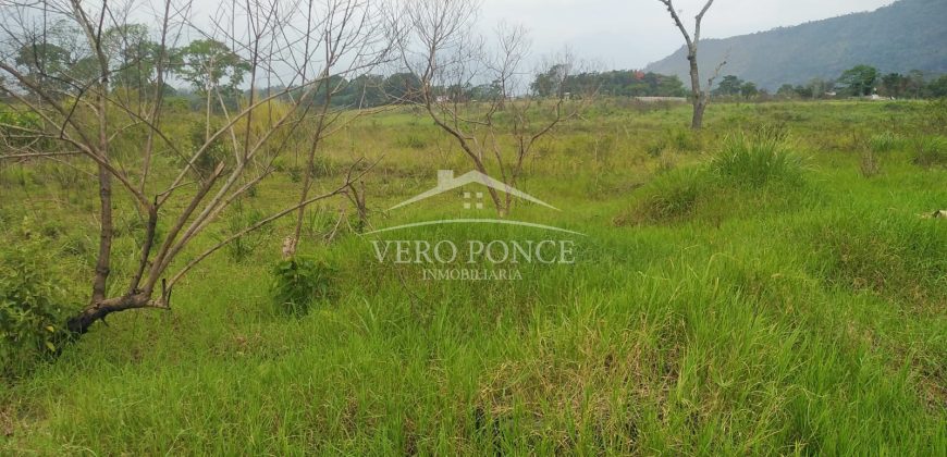 Carretera Fortín – Villa Unión / 20017 m2 / Terreno en Venta (2322-875)