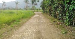 Carretera Fortín – Villa Unión / 20017 m2 / Terreno en Venta (2322-875)