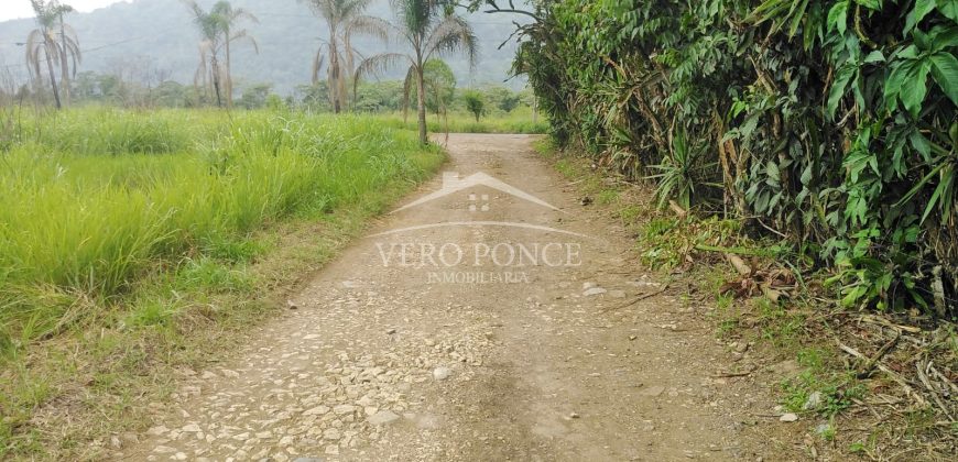 Carretera Fortín – Villa Unión / 20017 m2 / Terreno en Venta (2322-875)