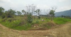 Carretera Fortín – Villa Unión / 20017 m2 / Terreno en Venta (2322-875)