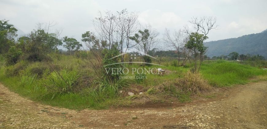 Carretera Fortín – Villa Unión / 20017 m2 / Terreno en Venta (2322-875)