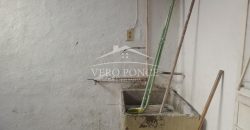 (Rentado) Centro / Departamento en Renta (2301-884)