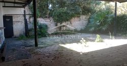 (Rentado) Centro / Local en Renta (2301-885)