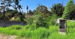 Las Animas / 128 m2 / Terreno en Venta (2417-896)