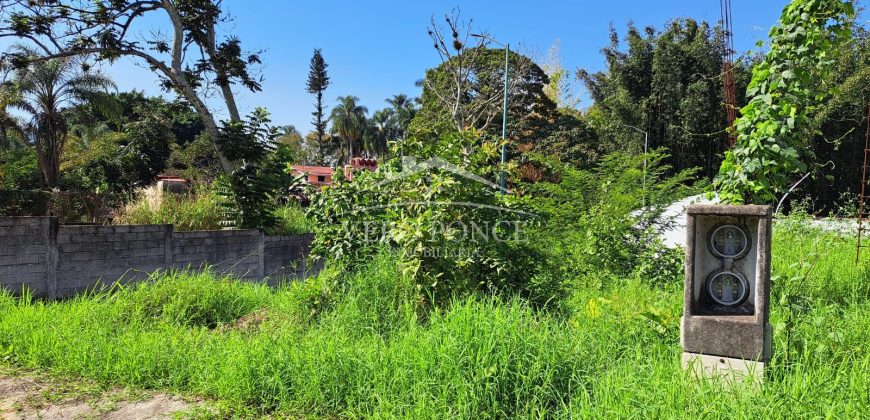 Las Animas / 128 m2 / Terreno en Venta (2417-896)