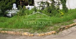 Las Animas / 128 m2 / Terreno en Venta (2417-896)