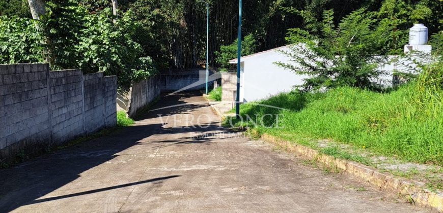 Las Animas / 128 m2 / Terreno en Venta (2417-896)