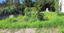 Las Animas / 128 m2 / Terreno en Venta (2417-896)