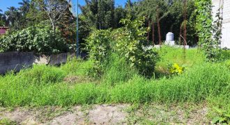 Las Animas / 128 m2 / Terreno en Venta (2417-896) Las Animas / 128 m2 / Terreno en Venta (2417-896)