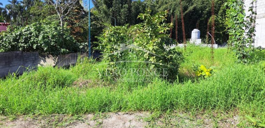 Las Animas / 128 m2 / Terreno en Venta (2417-896)