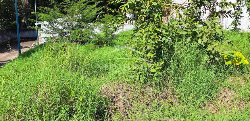 Las Animas / 128 m2 / Terreno en Venta (2417-896)