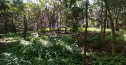 Colonia Ricardo Ballinas / 3437.29 m2 / Terreno en Venta (2410-898)