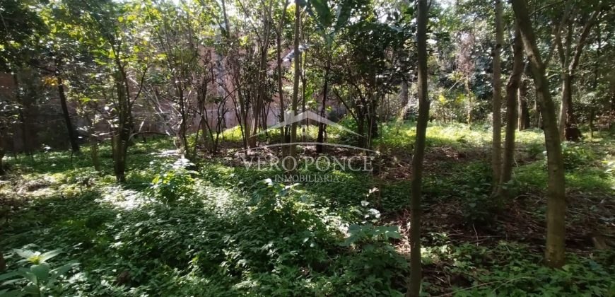 Colonia Ricardo Ballinas / 3437.29 m2 / Terreno en Venta (2410-898)